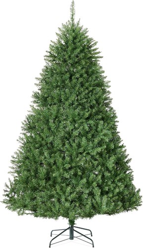 Douglas fir christmas - douglas,