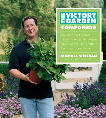 The victory garden - garden, companion