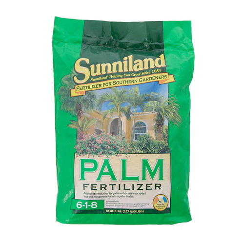 Sunniland palm tree - sunniland, 6-1-8