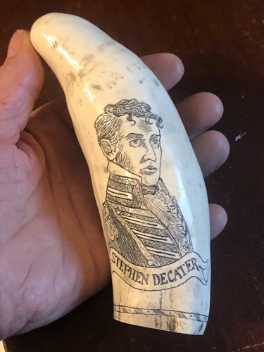 Scrimshaw sperm whale tooth - sperm,