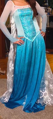 Frozen elsa costume - ,