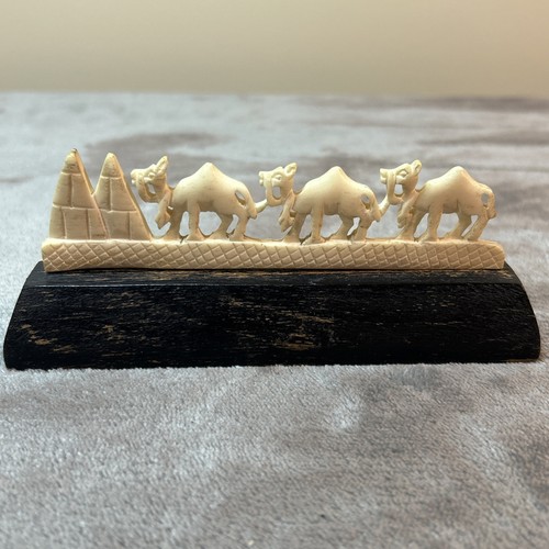 Camel parade and pyramids - parade,