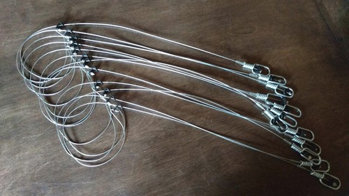 Dozen southern snares mink - snares,