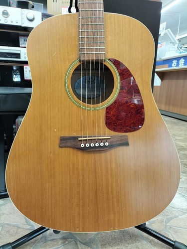 Seagull slim acoustic - seagull,
