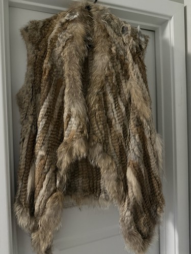 Bagatelle coyote and rabbit - coyote,