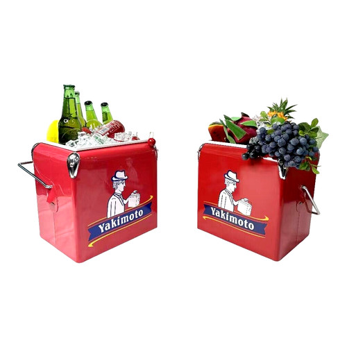 Metal cooler box - metal, 13l