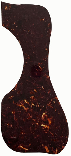 Acoustic guitar pickguard - guitar,