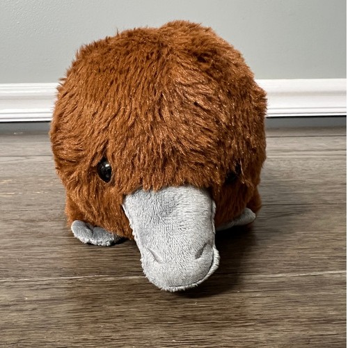 Cute cuddly platypus - cute, n