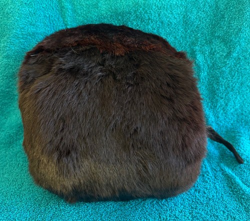 Vintage brown unknown - ?, fur