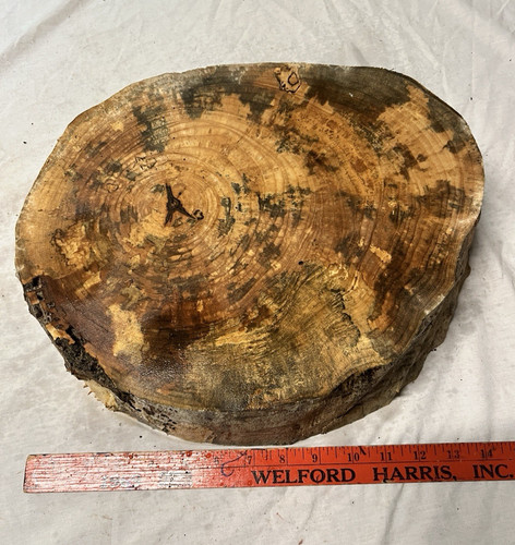 Maple wood bowl - maple, blank