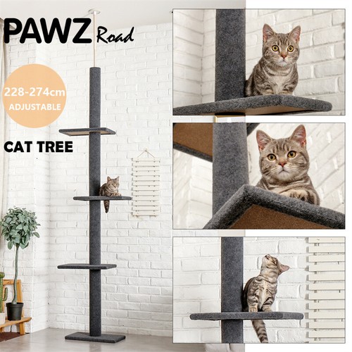 Pawz road cat - road, tower