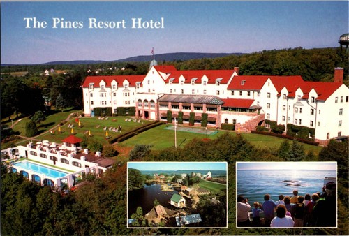 Digby postcard the pines - digby,