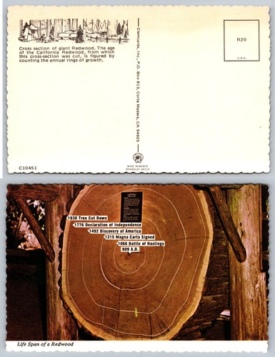 Vintage california redwood - vintage,