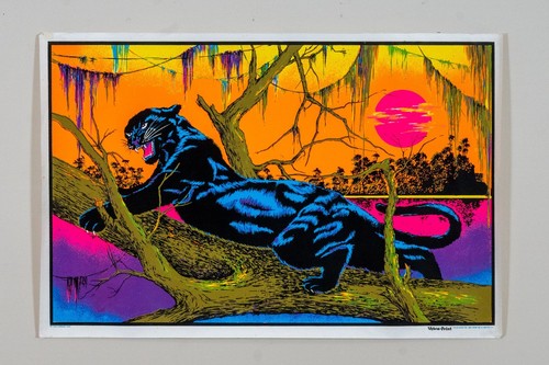 Vintage black panther jungle - vintage,