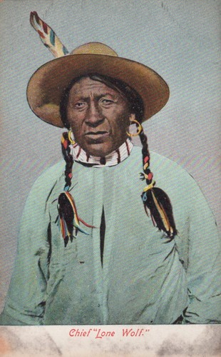 Chief lone wolf - wolf, native