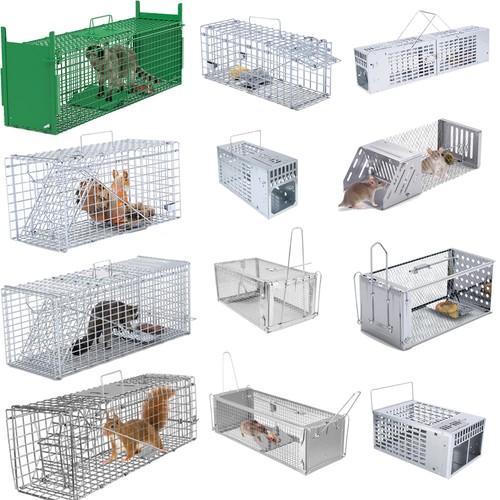 Live animal trap for - live,