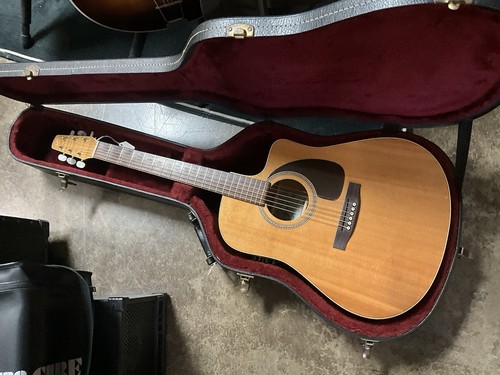 Vintage seagull duet - cw,