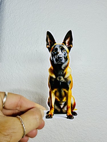 Belgian shepherd sticker car - belgian,