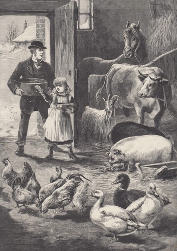 Farmer horse rooster chickens - horse,