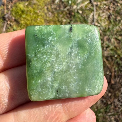 Canadian jade palm stone - palm,