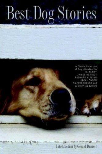 Best dog stories - best,