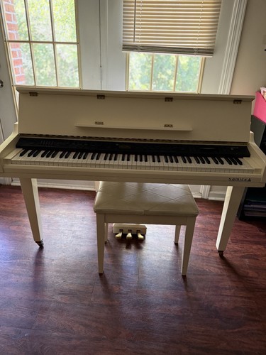 Digital baby grand piano - digital,