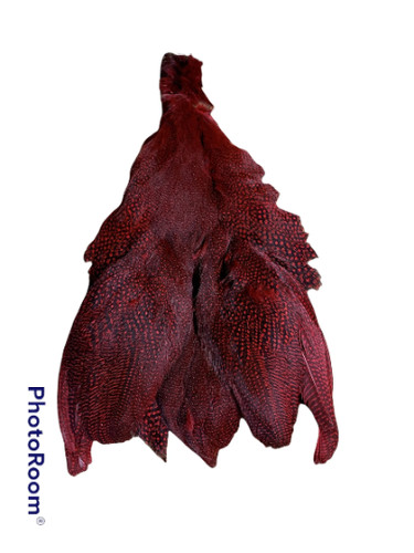 Guinea fowl whole skin - , w/wings