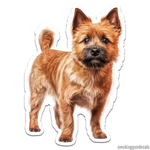 Norwich terrier vinyl decal - terrier,,