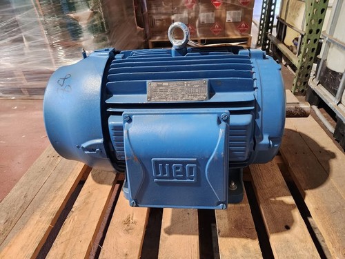 New weg w22 nema premium - nema,