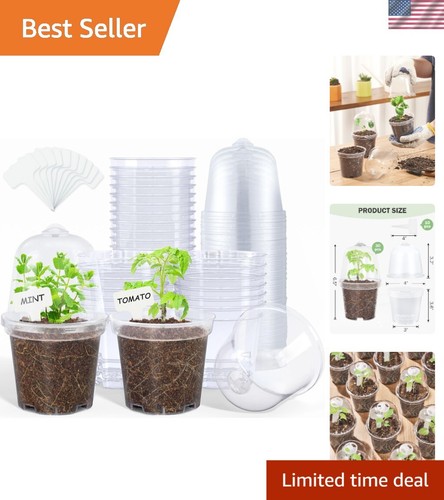 Inch transparent plant pots - plant,