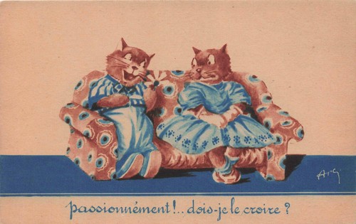 Passionate dressed cats sit - passionate,