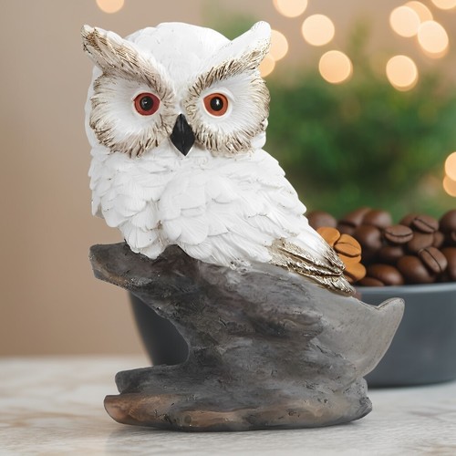 White owl sitting on - owl,