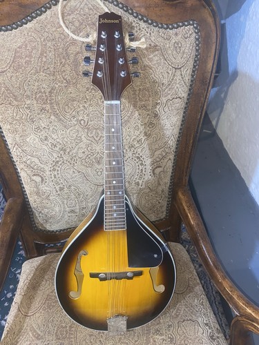 Johnson style mandolin 8 - style,