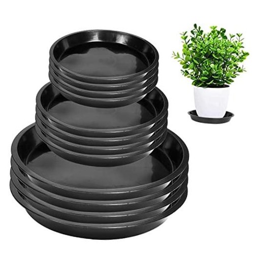 Inch plant saucer 12 - inch,