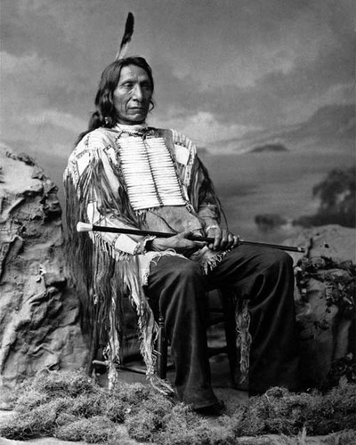 Native american indian chief - native,