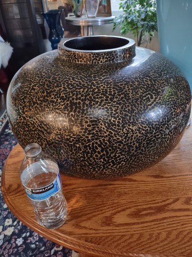 Extra large snakeskin - extra, eggshell
