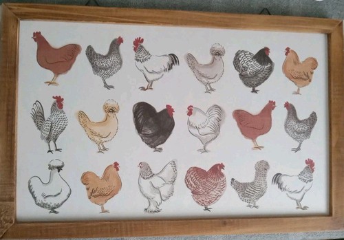 Framed different type - type, chicken
