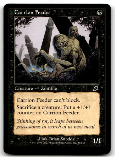 Carrion feeder - feeder, (mp)