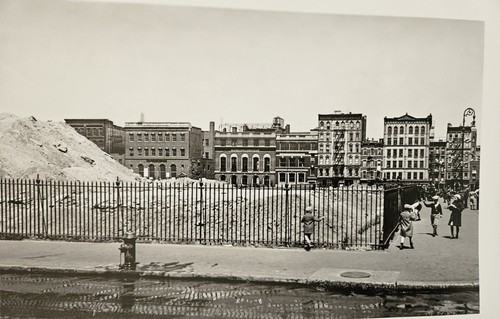 1935 hamilton fish - 1935, park