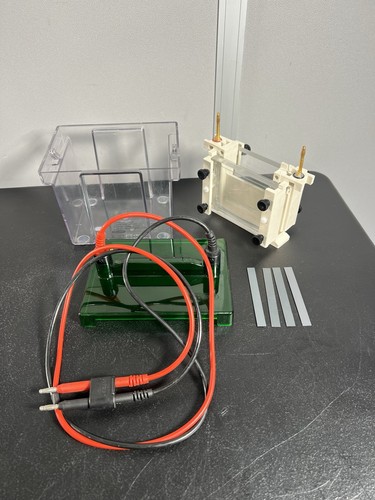 Bio rad mini - ll, cell