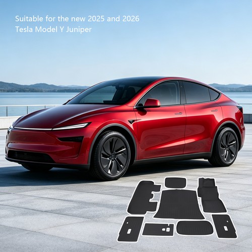Car floor mats - tesla, model