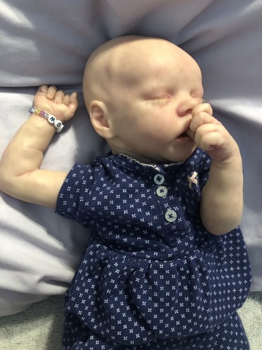 Reborn baby dolls pre - dolls, owned