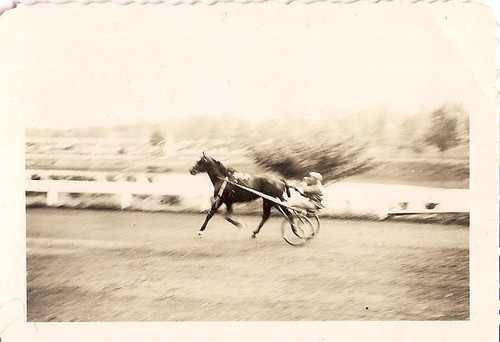 Man behind horse - horse, track