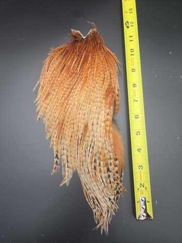 Barred ginger rooster neck - barred,