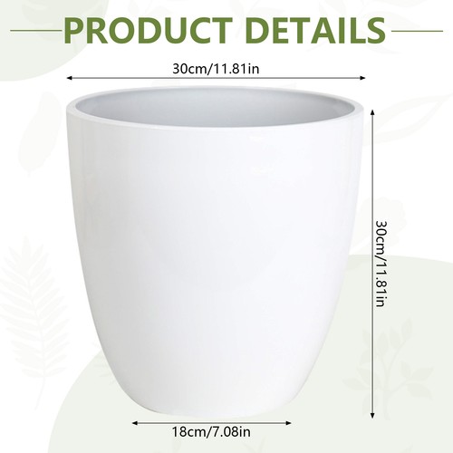 Set 24 inch tall - 12/21/24,