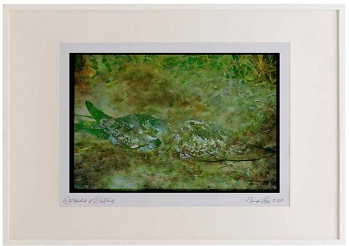 163060 pair common - pair, of