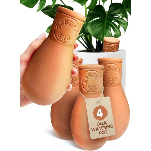 Terracotta olla self watering - olla,