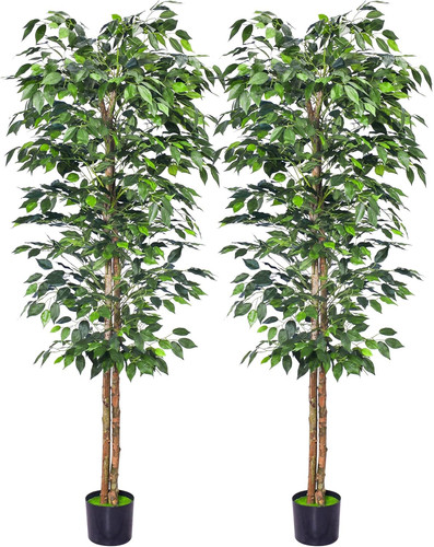 6ft artificial ficus trees - 6ft, 2