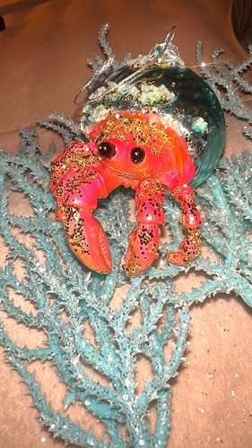 Hermit crab ornament hand - hermit,