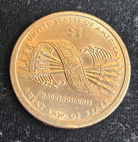 2010 sacagawea dollar - au, p